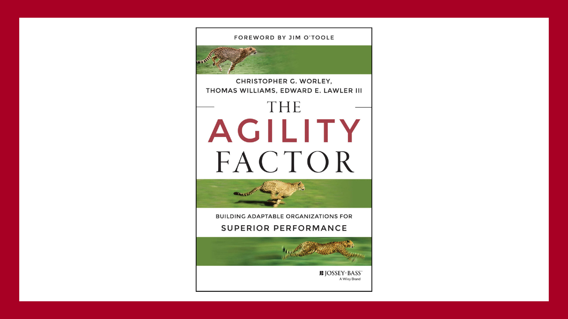 Кнгиа The Agility Factor, Building Adaptable Organizations for Superior Performance